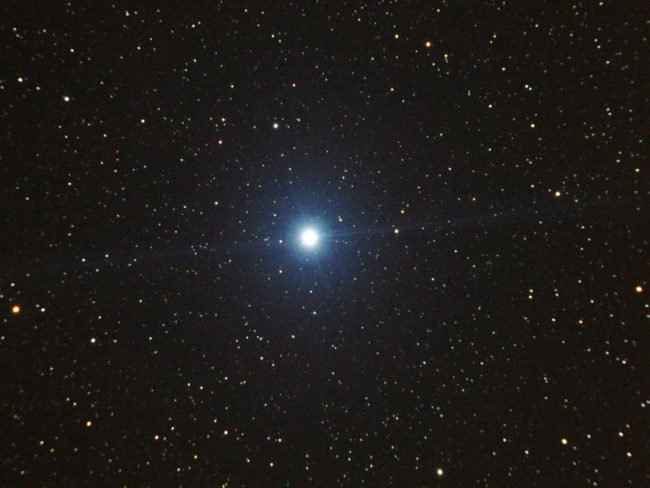 Vega_3868
